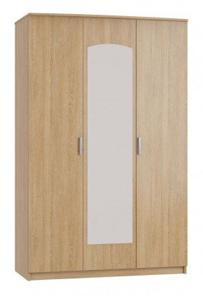 Шкаф 3-х дверный с зеркалом Шк210.1 МС Ирина в Ушье - ushya.germes-mebel.ru | фото